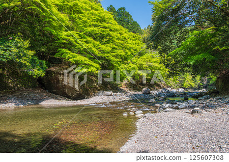 Kyoto's clear stream, Kiyotaki River, Ukyo Ward, Kyoto City Kyoto's clear stream, Kiyotaki River, Ukyo Ward, Kyoto City 125607308