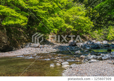 京都的清流，京都市右京區清瀧川 125607309