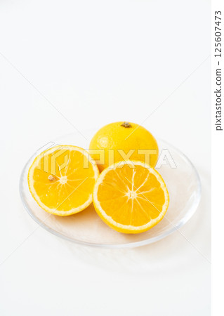 Refreshing Shonan Gold on a white background Refreshing Shonan Gold on a white background 125607473