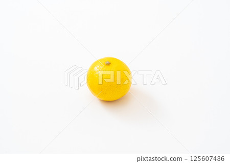 白色背景上令人耳目一新的湘南金 白色背景上令人耳目一新的湘南金 125607486