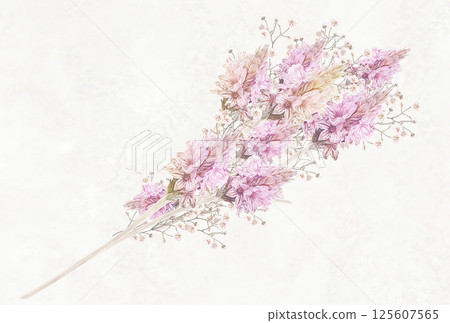 一束淡紫色蕾絲薰衣草作為插圖 125607565