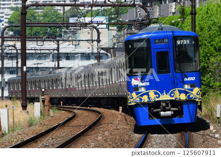 京王9000系列9731F三麗鷗包裝第三代 京王9000系列9731F三麗鷗包裝第三代 125607911