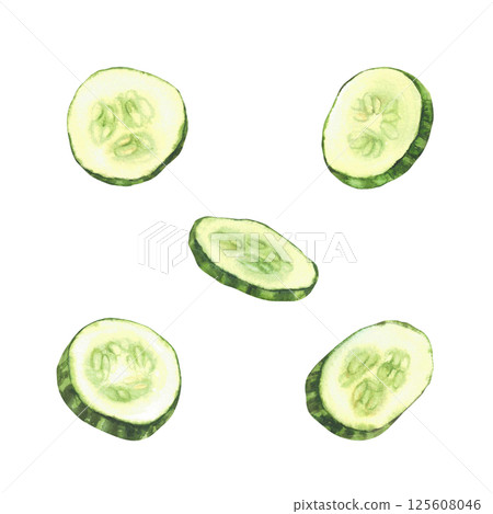 Cucumber slices set. Fresh vegetable cut sliced cucumber circles with seeds. Watercolor realistic hand drawn illustration. Clipart for food, nature cosmetic label, packaging. Isolated from background 125608046