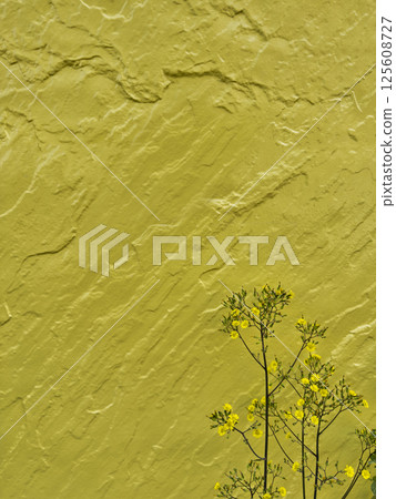 Textures and Shadows on Urban Walls in Natural Light. 125608727