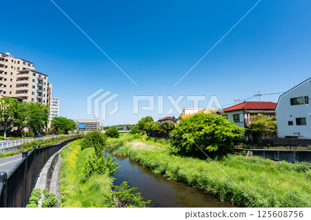 Scenery of the Nogawa River from Omachi Bridge, near Kokuryo Station on the Keio Line, spring blue sky, Kokuryo-cho, Chofu City, Tokyo 125608756