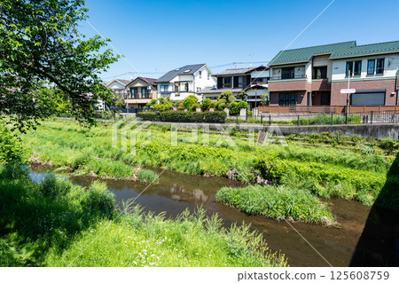 Nogawa River waterfront, spring blue sky, Kokuryo-cho, Chofu-shi, Tokyo Nogawa River waterfront, spring blue sky, Kokuryo-cho, Chofu-shi, Tokyo 125608759