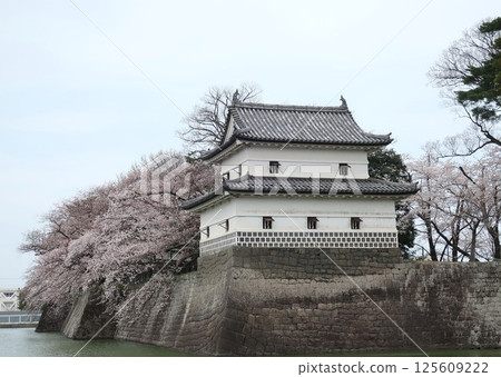 Spring of Shibata castle 125609222