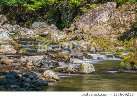 Kyoto's clear stream, Kiyotaki River, Ukyo Ward, Kyoto City 125609236