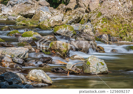 Kyoto's clear stream, Kiyotaki River, Ukyo Ward, Kyoto City 125609237