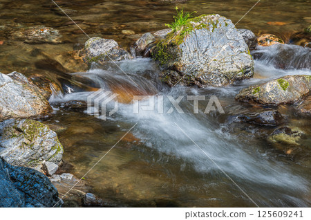 京都的清流，京都市右京區清瀧川 125609241