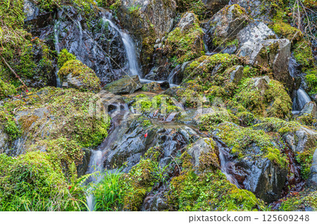 A small waterfall flowing into the clear stream of Kiyotaki River in Kyoto, Ukyo Ward, Kyoto City 125609248