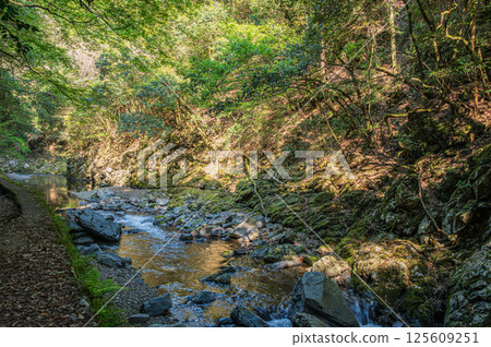 Kyoto's clear stream, Kiyotaki River, Ukyo Ward, Kyoto City 125609251