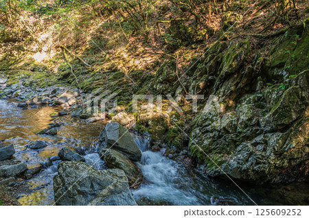 Kyoto's clear stream, Kiyotaki River, Ukyo Ward, Kyoto City Kyoto's clear stream, Kiyotaki River, Ukyo Ward, Kyoto City 125609252