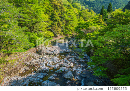 京都的清流,京都市右京區清瀧川 京都的清流,京都市右京區清瀧川 125609253