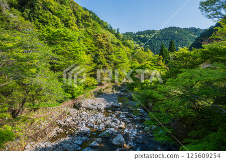 Kyoto's clear stream, Kiyotaki River, Ukyo Ward, Kyoto City Kyoto's clear stream, Kiyotaki River, Ukyo Ward, Kyoto City 125609254