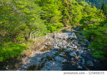 Kyoto's clear stream, Kiyotaki River, Ukyo Ward, Kyoto City Kyoto's clear stream, Kiyotaki River, Ukyo Ward, Kyoto City 125609255