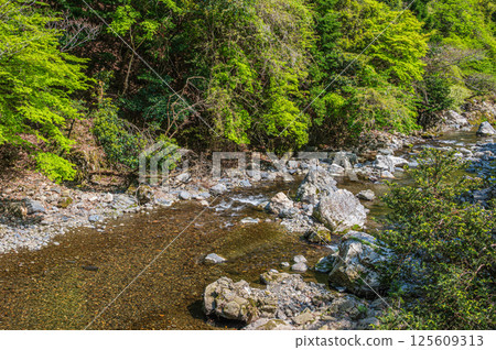 Kyoto's clear stream, Kiyotaki River, Ukyo Ward, Kyoto City 125609313