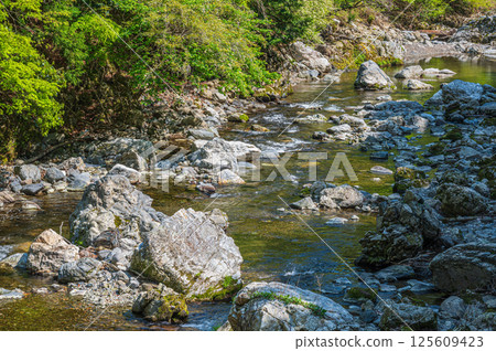 京都的清流,京都市右京區清瀧川 京都的清流,京都市右京區清瀧川 125609423