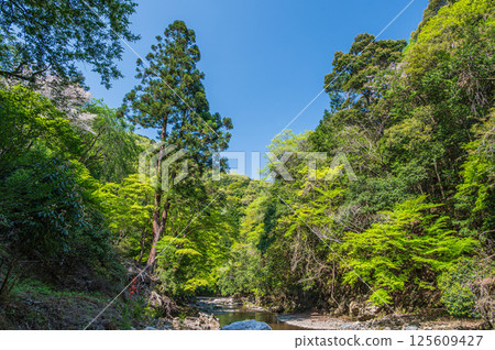 Kyoto's clear stream, Kiyotaki River, Ukyo Ward, Kyoto City 125609427