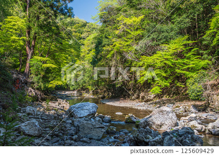 京都的清流，京都市右京區清瀧川 125609429