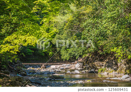 Kyoto's clear stream, Kiyotaki River, Ukyo Ward, Kyoto City 125609431