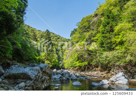 Kyoto's clear stream, Kiyotaki River, Ukyo Ward, Kyoto City 125609433