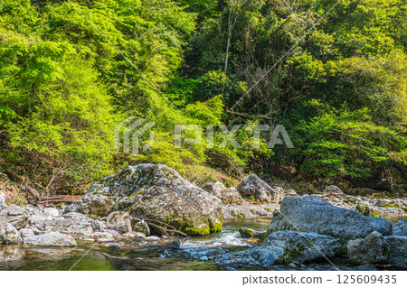 Kyoto's clear stream, Kiyotaki River, Ukyo Ward, Kyoto City 125609435