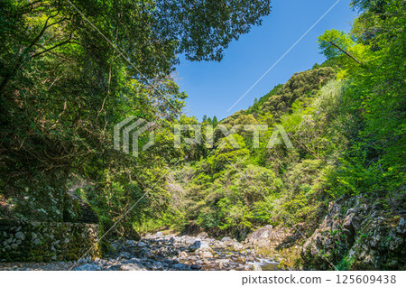 Kyoto's clear stream, Kiyotaki River, Ukyo Ward, Kyoto City 125609438