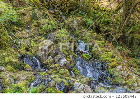 A small waterfall flowing into the Kiyotaki River, Ukyo Ward, Kyoto City 125609442
