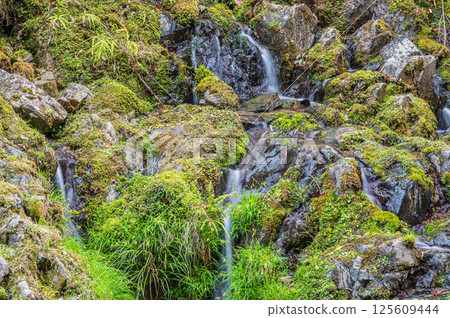 京都市右京區清瀧川的小瀑布 125609444