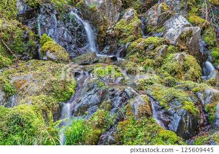 京都市右京區清瀧川的小瀑布 125609445