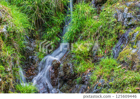 A small waterfall flowing into the Kiyotaki River, Ukyo Ward, Kyoto City 125609446