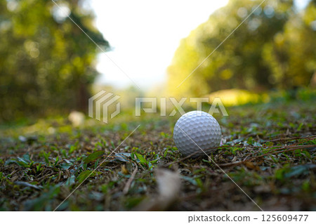 Golf ball on green grass in the evening golf course with sunshine background. 125609477