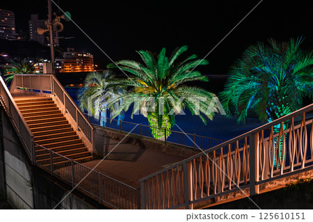 Atami Sun Beach at night: Fantastic palm trees 125610151