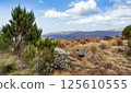 Semien or Simien Mountains, Ethiopia, Africa 125610555