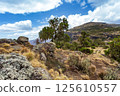 Semien or Simien Mountains, Ethiopia, Africa 125610557