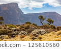 Semien or Simien Mountains, Ethiopia, Africa 125610560