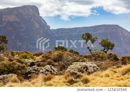 Semien or Simien Mountains, Ethiopia, Africa 125610560