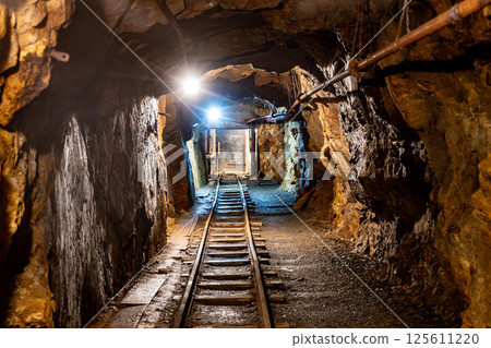 This mine shaft in Jachymov, Czechia showcases the rich mining history of the area. Dimly lit tunnels lead into the depths, revealing tracks used for transporting minerals. 125611220