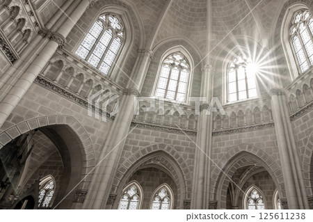 Sunlight streams through the ornate gothic windows of the Schwarzenberg Tomb, illuminating the stunning architecture and intricate stone details in Domanin, Czechia. 125611238
