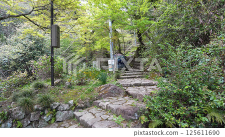 Ryugin Falls, Mizunami City 125611690