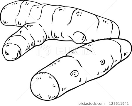 Turmeric Root Outline Illustration Turmeric Root Outline Illustration 125611941