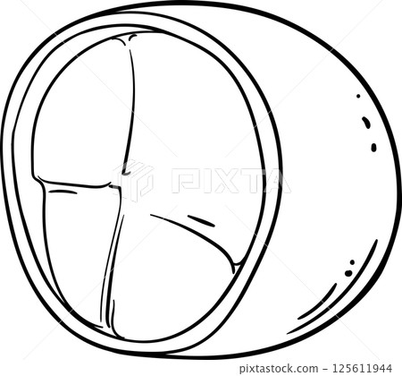 Cupuacu Fruit and Outline Illustration. 125611944