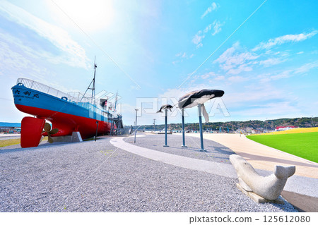 The 16th Torimaru at Ayukawa Port 125612080