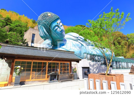 [Fukuoka Prefecture] The Buddha's Nirvana statue at Nanzo-in Temple on a clear day 125612090