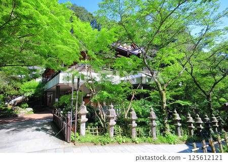 [Fukuoka Prefecture] Nanzoin Temple Main Hall on a clear day 125612121