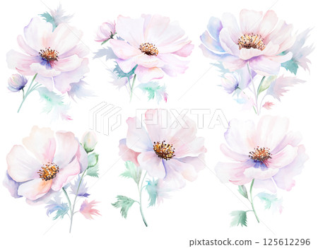 Watercolor pink peony flowers with bud and leaves, pastel romantic wedding isolated illustration Watercolor pink peony flowers with bud and leaves, pastel romantic wedding isolated illustration 125612296