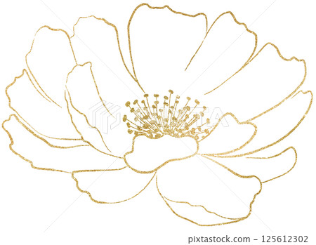 Hand drawn peony flower golden outlines silhouette, wedding isolated illustration element 125612302