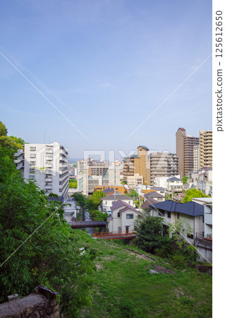 寶塚夜景 寶塚夜景 125612650