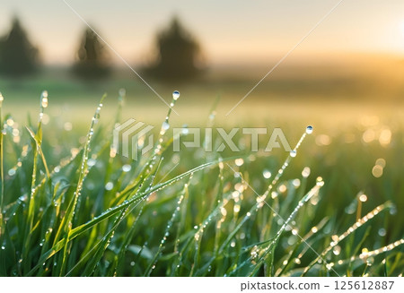 Morning dewdrops sparkle on grass, reflecting sunlight beautifully.AI Generated 125612887